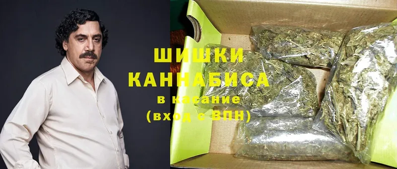 Конопля SATIVA & INDICA  где купить наркоту  Балтийск 